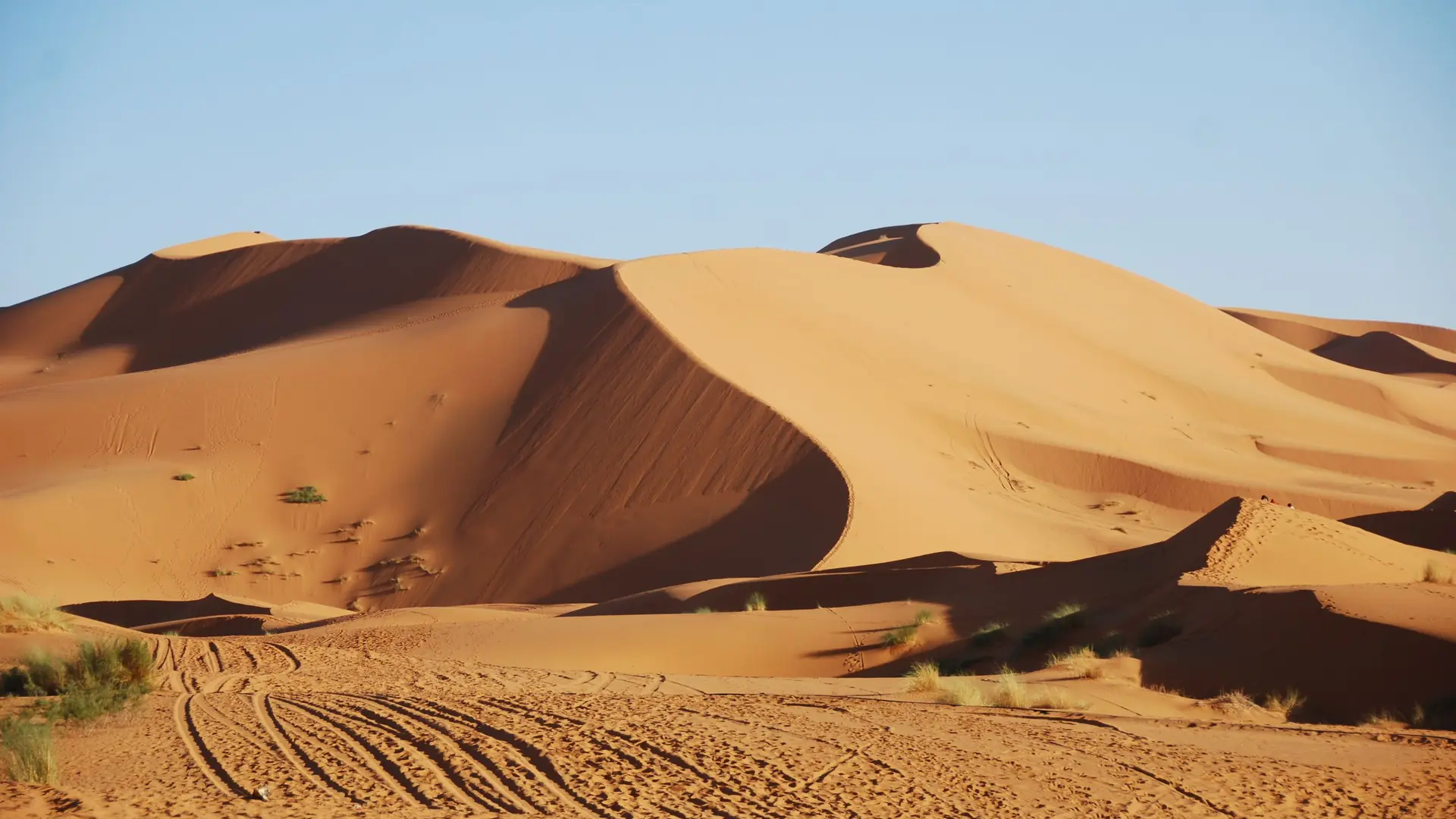Tall orange sand dunes of Erg Chebbi near Merzouga under a blue sky